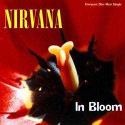 Nirvana : In Bloom